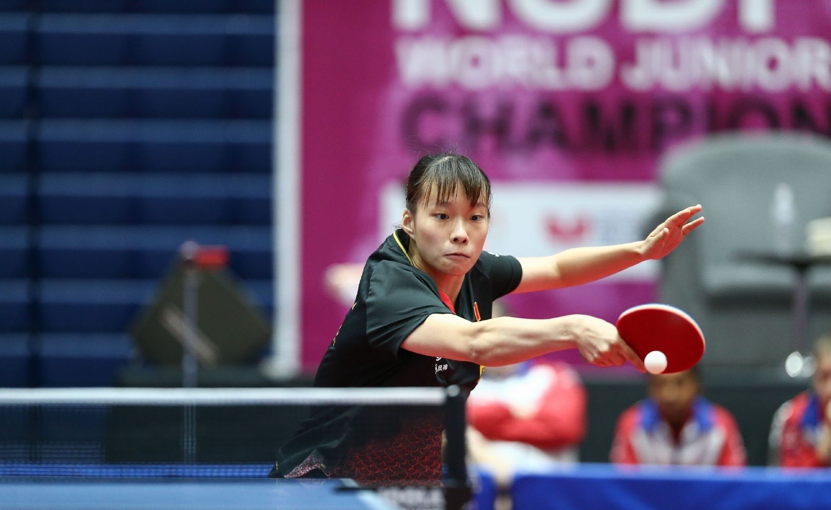 作为沃神的 作为沃神的