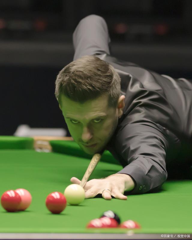 选手们经历 选手们经历