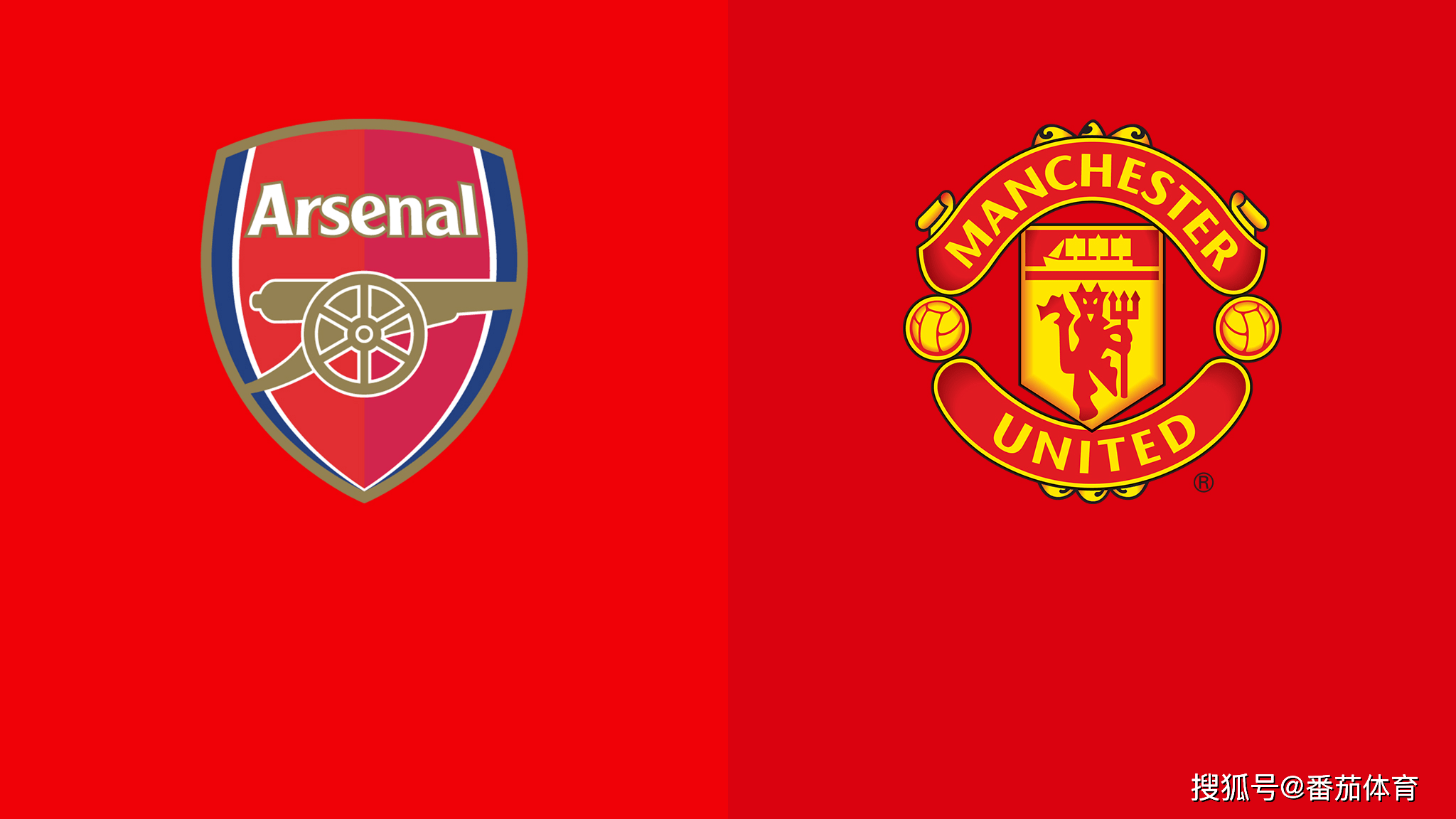 野完成组织 野完成组织